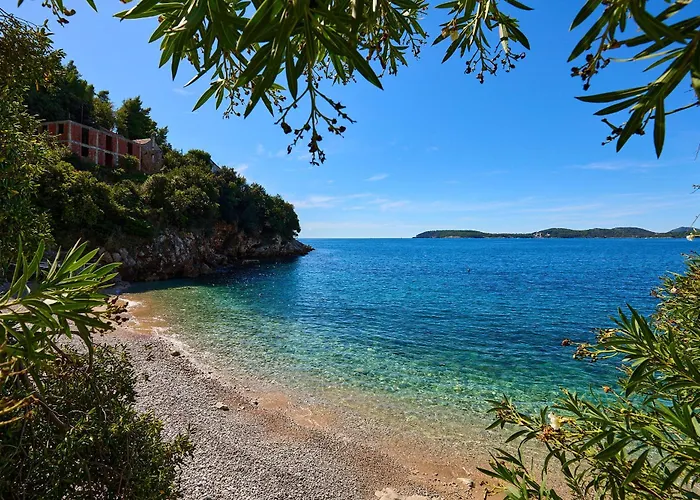 Hedera Estate, Hedera A53