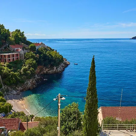 Hedera Estate, Hedera A53 * 杜布罗夫尼克