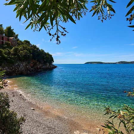 Hedera Estate, Hedera A53